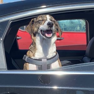 Meet your Posher, Seth